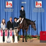 IRON TO BURN - Out of Raise A Gleam TB